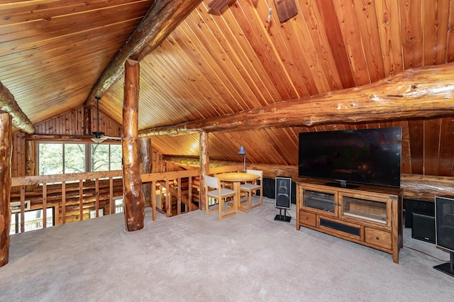 56638 County Road 1, Mazeppa, MN 55956 - photo 23