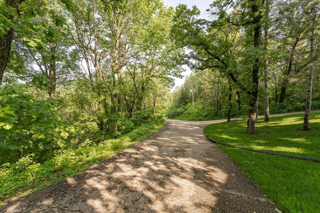 56638 County Road 1, Mazeppa, MN 55956 - photo 32