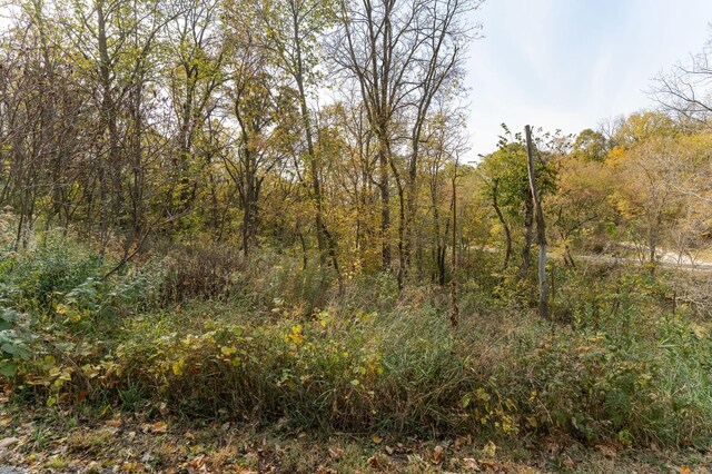 56638 County Road 1, Mazeppa, MN 55956 - photo 39