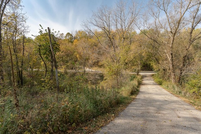 56638 County Road 1, Mazeppa, MN 55956 - photo 40