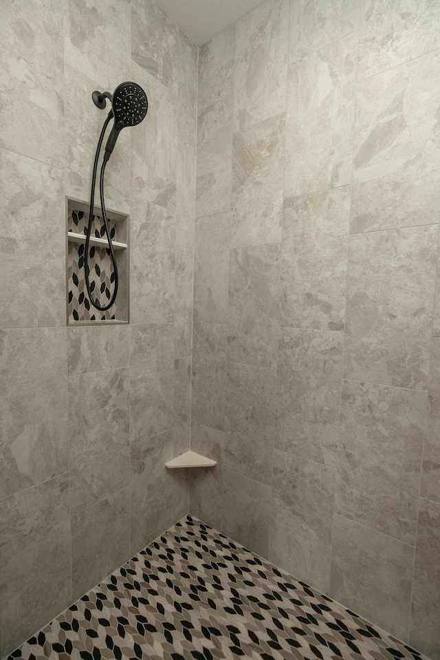 1202 15th St NE, Kasson, MN 55944 - bathroom view of tiled shower