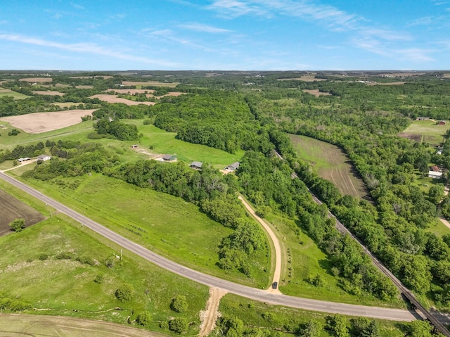 1620 County Road X, Glenwood City, WI 54013 - photo 16