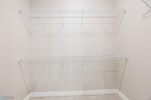 6614 68th St S, Horace, ND 58047 - walk in closet featuring carpet floors