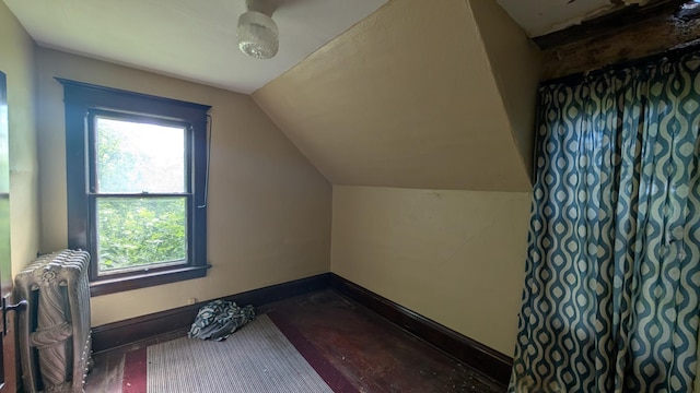 307 10th St S, Wheaton, MN 56296 - additional living space featuring lofted ceiling, plenty of natural light, dark wood-type flooring, and baseboards