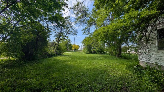 307 10th St S, Wheaton, MN 56296 - view of grassy yard