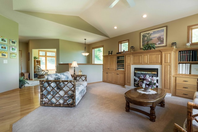 14124 Eagle Lake Rd, Battle Lake, MN 56515 - photo 23