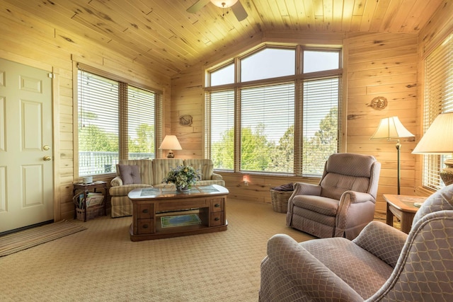 14124 Eagle Lake Rd, Battle Lake, MN 56515 - photo 25