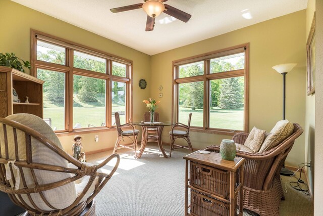 14124 Eagle Lake Rd, Battle Lake, MN 56515 - photo 27