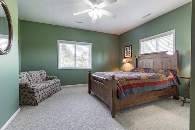 14124 Eagle Lake Rd, Battle Lake, MN 56515 - photo 41