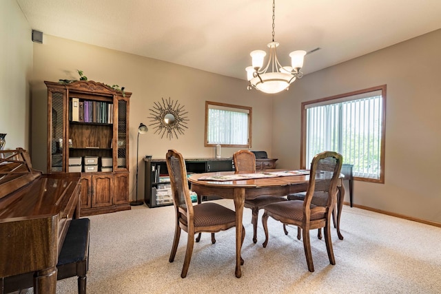 14124 Eagle Lake Rd, Battle Lake, MN 56515 - photo 51