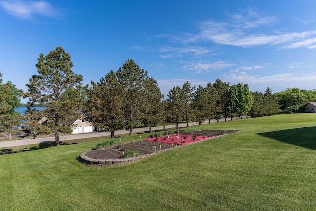14124 Eagle Lake Rd, Battle Lake, MN 56515 - photo 64