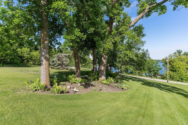14124 Eagle Lake Rd, Battle Lake, MN 56515 - photo 77