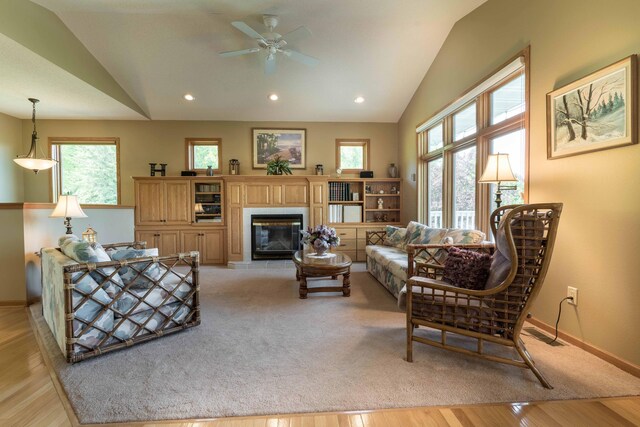 14124 Eagle Lake Rd, Battle Lake, MN 56515 - photo 21