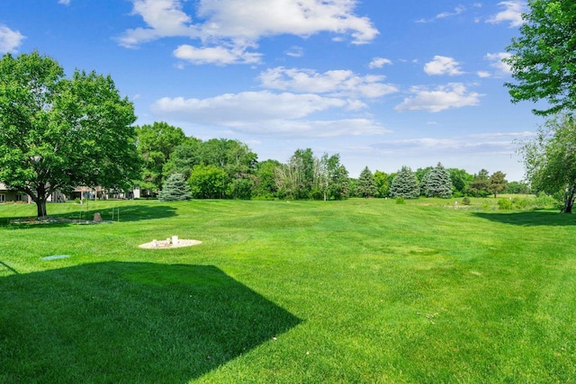 917 133rd Ln NE, Ham Lake, MN 55304 - view of green lawn