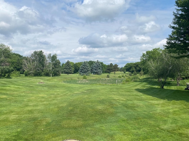 917 133rd Ln NE, Ham Lake, MN 55304 - view of green lawn