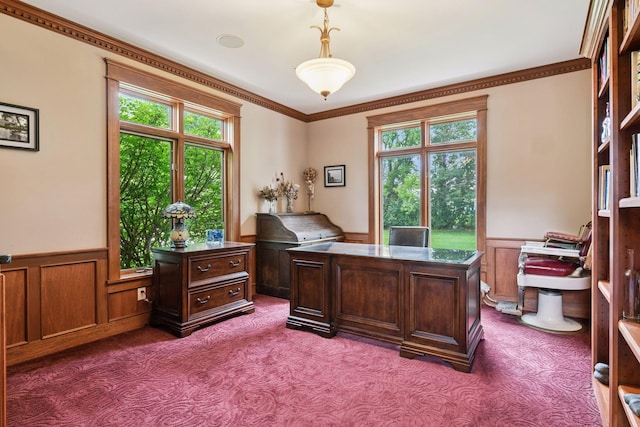 2906 Butternut Dr, Chaska, MN 55318 - office with carpet floors, a wainscoted wall, healthy amount of natural light, and ornamental molding