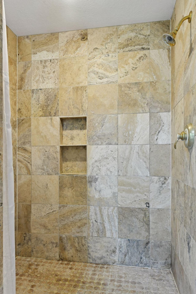 2906 Butternut Dr, Chaska, MN 55318 - bathroom view of a tile shower