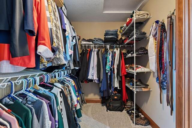 2906 Butternut Dr, Chaska, MN 55318 - walk in closet featuring attic access and carpet floors