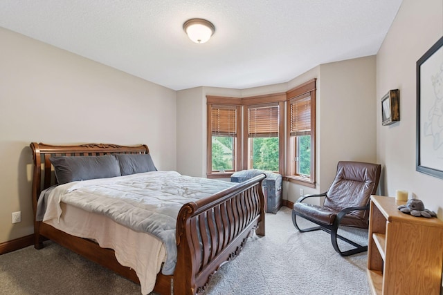 2906 Butternut Dr, Chaska, MN 55318 - carpeted bedroom with baseboards