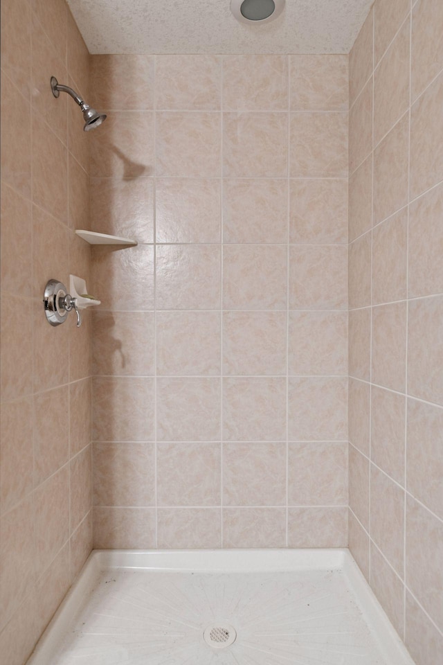 2906 Butternut Dr, Chaska, MN 55318 - full bath featuring a tile shower