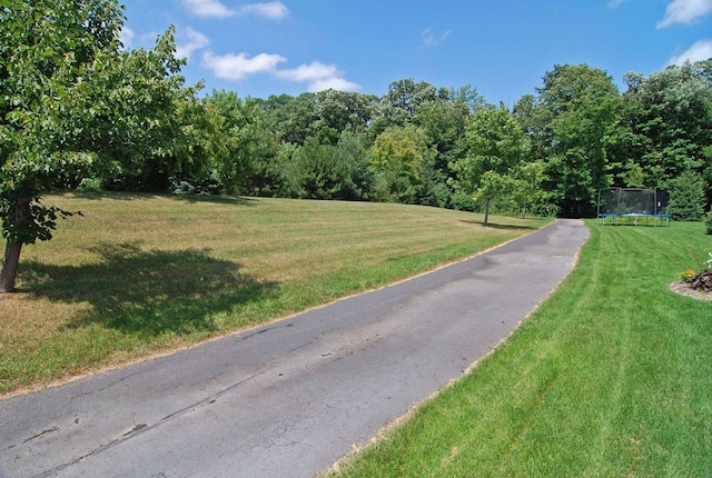 2906 Butternut Dr, Chaska, MN 55318 - view of street