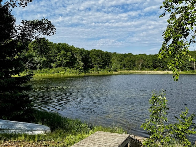 17251 State Highway 6, Deerwood, MN 56444 - water view with a forest