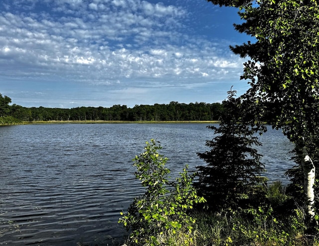 17251 State Highway 6, Deerwood, MN 56444 - water view featuring a heavily wooded area