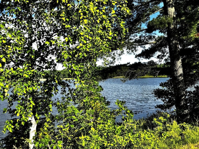 17251 State Highway 6, Deerwood, MN 56444 - water view