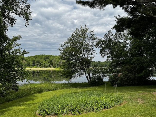 17251 State Highway 6, Deerwood, MN 56444 - view of grassy yard featuring a water view and a forest view