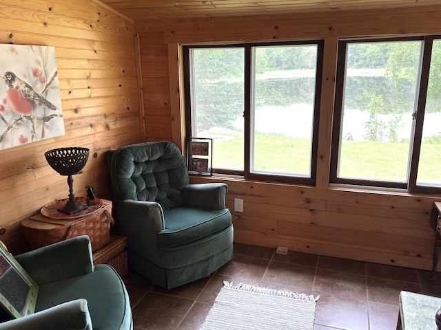 17251 State Highway 6, Deerwood, MN 56444 - living area with wood walls and tile patterned flooring
