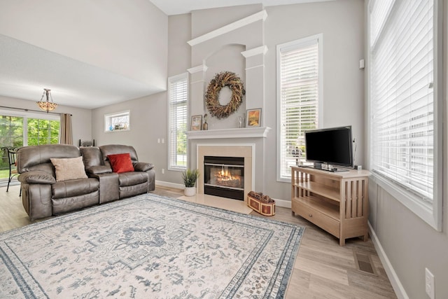 4345 Merrimac Ln N Unit 7, Plymouth, MN 55446 - living room featuring a glass covered fireplace, light wood-style floors, and baseboards