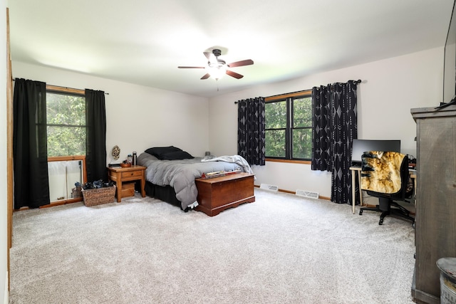 3250 Wild Turkey Ln, Red Wing, MN 55066 - bedroom featuring multiple windows, carpet flooring, and a ceiling fan