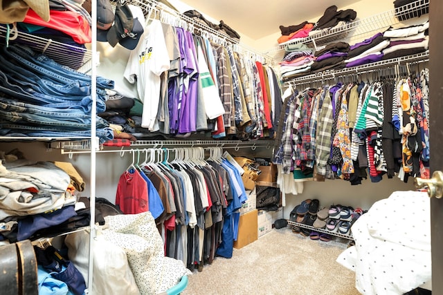 3250 Wild Turkey Ln, Red Wing, MN 55066 - spacious closet featuring carpet flooring