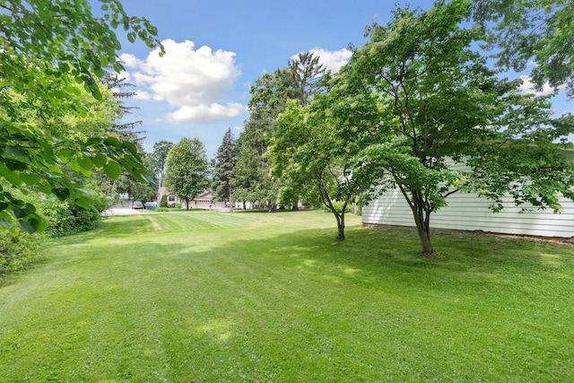 5336 Eagle St, White Bear Twp, MN 55110 - photo 23