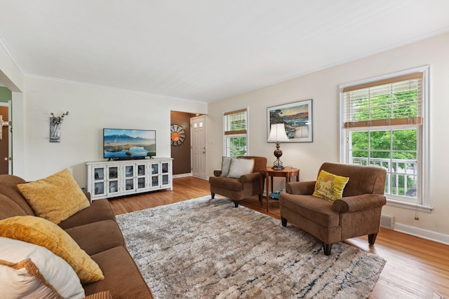 5718 13th Ave S, Minneapolis, MN 55417 - living room featuring plenty of natural light, wood finished floors, baseboards, and ornamental molding