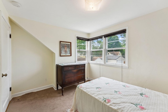 5718 13th Ave S, Minneapolis, MN 55417 - bedroom with carpet and baseboards