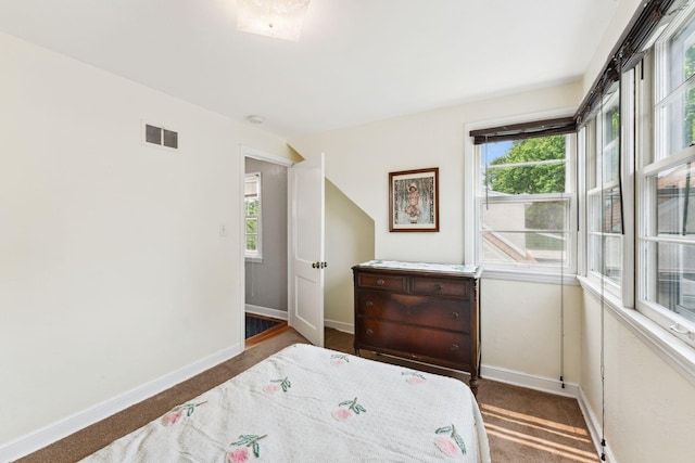 5718 13th Ave S, Minneapolis, MN 55417 - bedroom featuring carpet floors, baseboards, and multiple windows