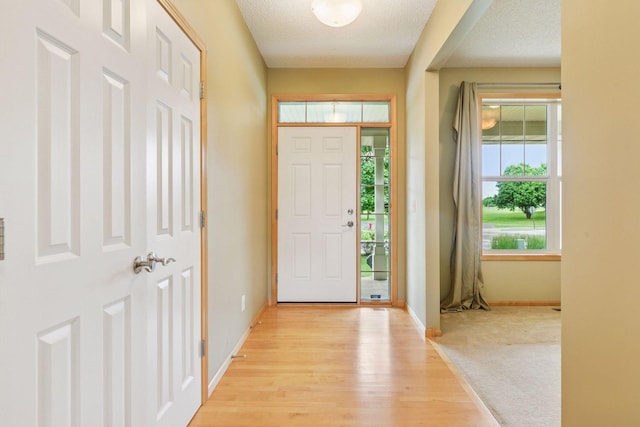 11344 Eagle View Ter, Woodbury, MN 55129 - photo 5