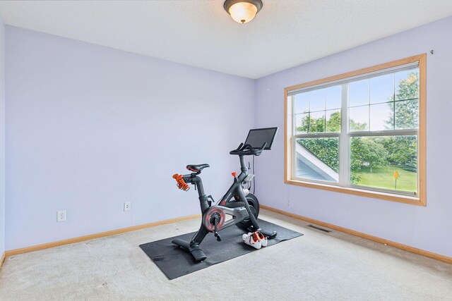 11344 Eagle View Ter, Woodbury, MN 55129 - photo 22