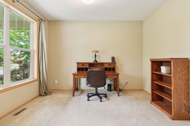 11344 Eagle View Ter, Woodbury, MN 55129 - photo 49