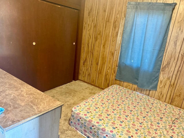 114 Thompson Ave, Rushmore, MN 56168 - bedroom featuring wood walls, carpet flooring, and a closet