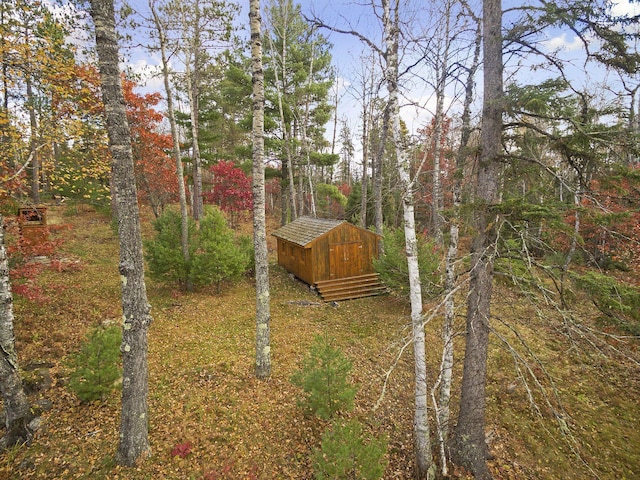 9453 Little Elbow Lk N, Cook, MN 55723 - view of yard