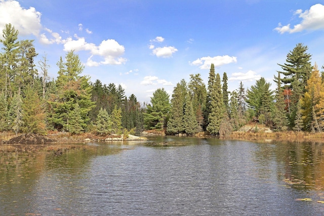 9453 Little Elbow Lk N, Cook, MN 55723 - water view featuring a heavily wooded area
