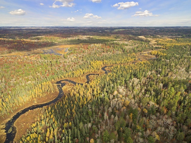 9453 Little Elbow Lk N, Cook, MN 55723 - aerial view of property's location featuring a forest