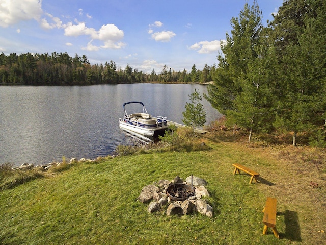 9453 Little Elbow Lk N, Cook, MN 55723 - water view with an outdoor fire pit and a forest