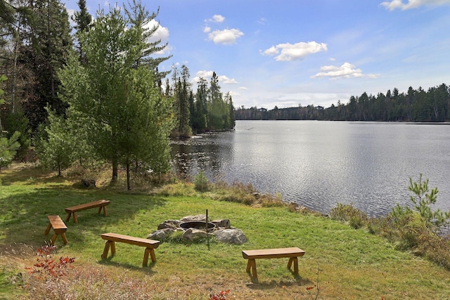 9453 Little Elbow Lk N, Cook, MN 55723 - water view featuring a forest and a fire pit