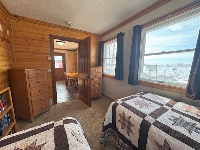 13150 Maple Circle Dr SE, Hudson Twp, MN 56334 - carpeted bedroom with wooden walls, multiple windows, a textured ceiling, and crown molding