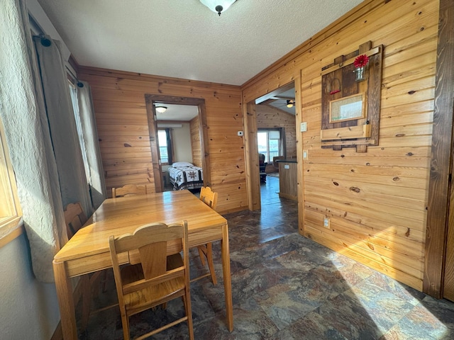 13150 Maple Circle Dr SE, Hudson Twp, MN 56334 - dining space with wooden walls, stone finish floors, and a textured ceiling
