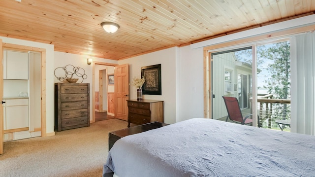 10787 Reynolds Rd, Round Lake Twp, WI 54843 - bedroom featuring carpet flooring, wood ceiling, and access to exterior