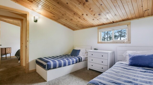 10787 Reynolds Rd, Round Lake Twp, WI 54843 - bedroom with wooden ceiling and dark carpet